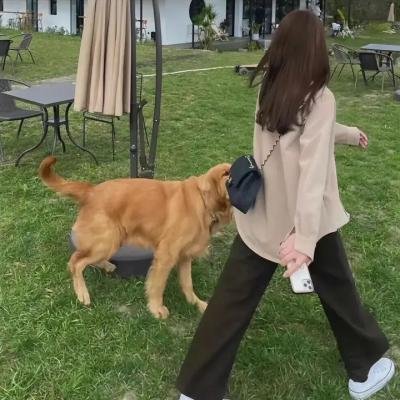 身后事